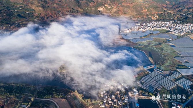 YZH0448《草海晨曦》