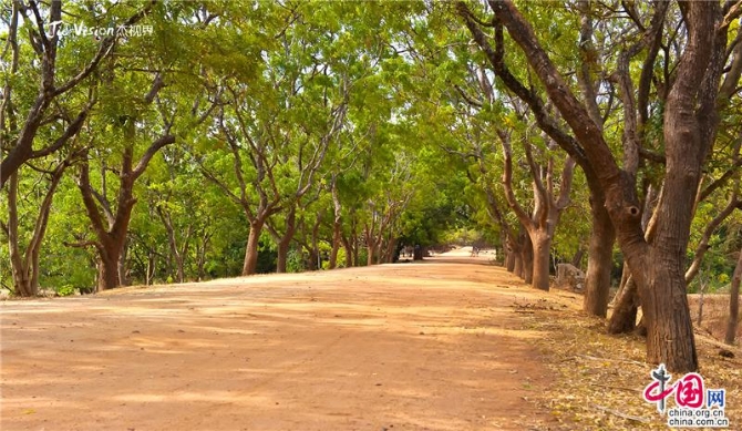 a6871459-a48b-48c5-86d6-28f1988891eb_batchwm a6871459-a48b-48c5-86d6-28f1988891eb_batchwm