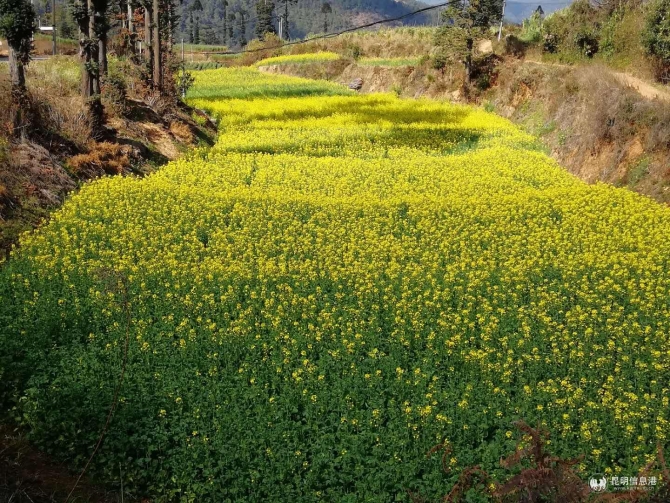 8530fb363dbefaf414d9a2a94d7de8f