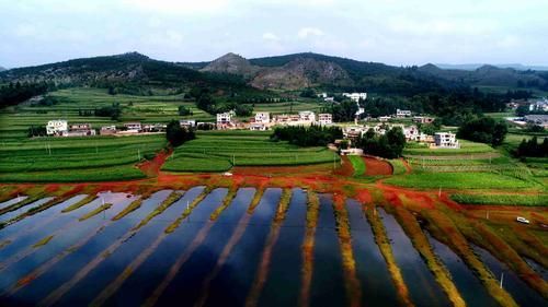 旅行何必去远方 盘点云南"醉美"十处湿地