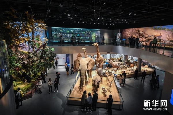 1124073049_15489839177471n8