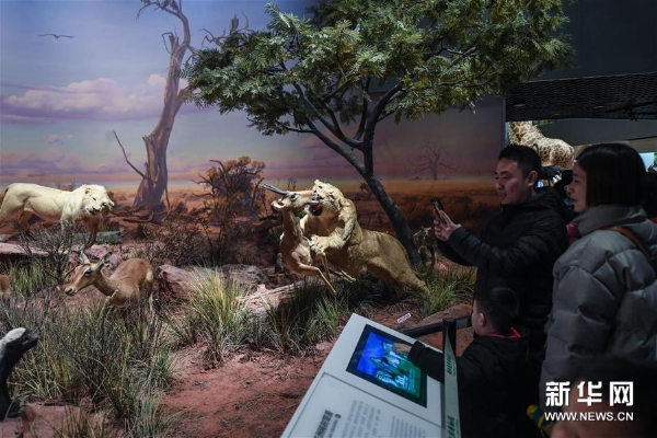 1124073049_15489839178651n11