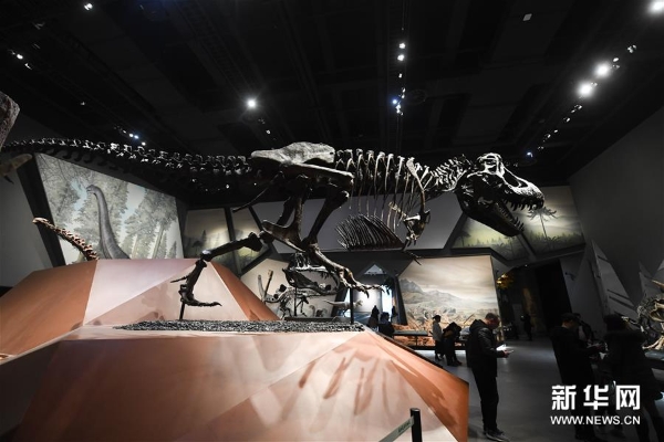 1124073049_15489839179191n12