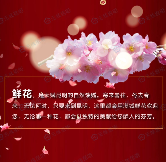 1_1788617b6f844cd9be54916e98dc81cb