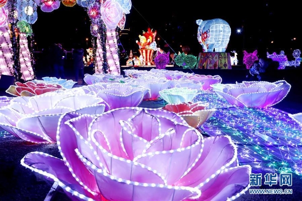 1124081433_15491169026911n