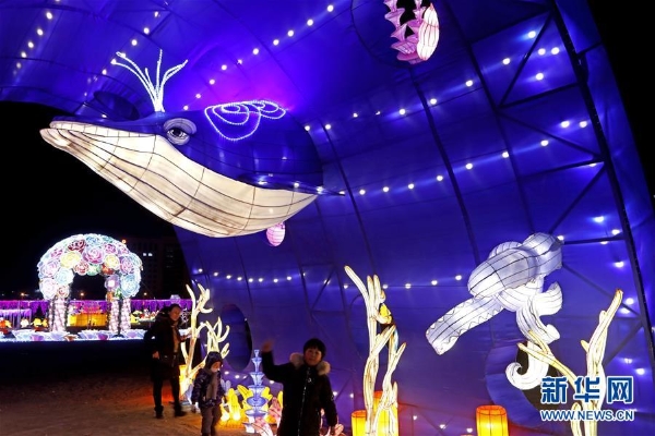 1124081433_15491169027221n