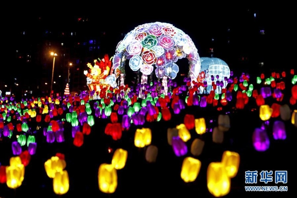 1124081433_15491169027751n