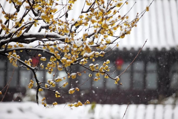 1549207112911_384_1080x720