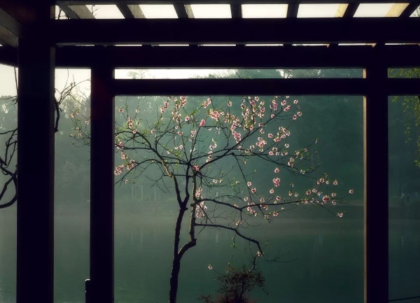 1549207152174_498_1080x780