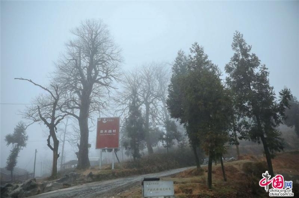 560f8f23-faaf-4be1-82c1-645b1f138038_batchwm 560f8f23-faaf-4be1-82c1-645b1f138038_batchwm