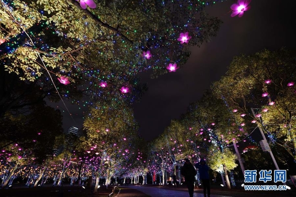 2月8日,市民行走在江西省南昌市街头。2 2月8日,市民行走在江西省南昌市街头。2