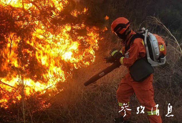 00300392945_bdf95383 00300392945_bdf95383