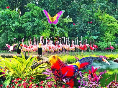 花动南国春色——我国南方地区早春美丽景象掠影 花动南国春色——我国南方地区早春美丽景象掠影