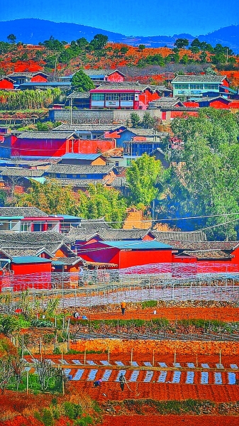 花动南国春色——我国南方地区早春美丽景象掠影 花动南国春色——我国南方地区早春美丽景象掠影