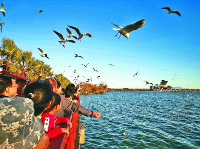 花动南国春色——我国南方地区早春美丽景象掠影 花动南国春色——我国南方地区早春美丽景象掠影