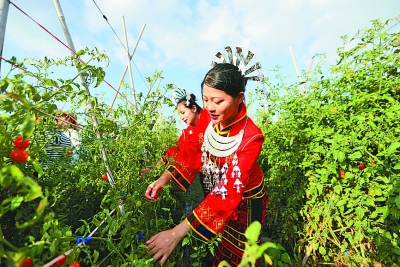 花动南国春色——我国南方地区早春美丽景象掠影 花动南国春色——我国南方地区早春美丽景象掠影