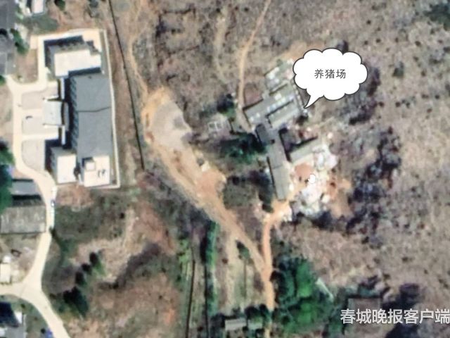 市民报料:丽江清溪水源二级保护区现养猪场 (5)