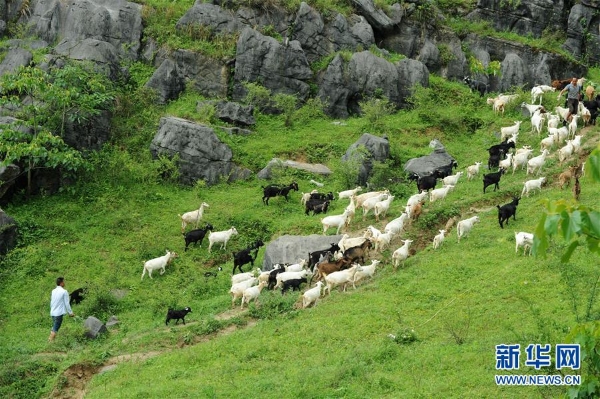 1124123779_15503167625991n 1124123779_15503167625991n