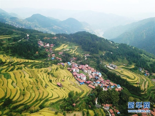 1124123779_15503167626281n 1124123779_15503167626281n