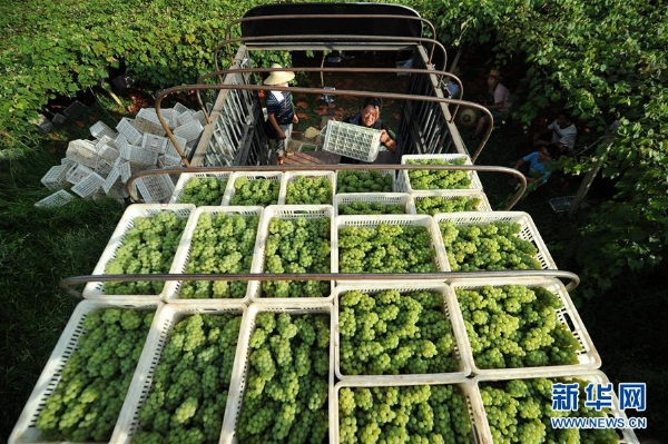 1124123779_15503167626361n 1124123779_15503167626361n