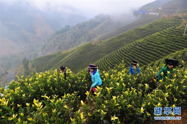 1124123779_15503167626381n 1124123779_15503167626381n