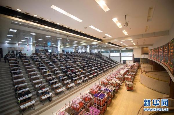 从云南田间到泰国花店——云南鲜花的南洋之旅 从云南田间到泰国花店——云南鲜花的南洋之旅