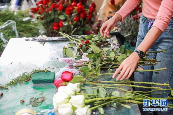 从云南田间到泰国花店——云南鲜花的南洋之旅 从云南田间到泰国花店——云南鲜花的南洋之旅