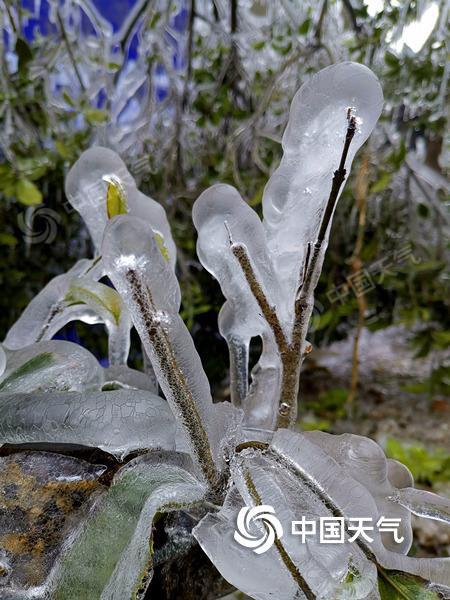 东北华北暖如初春 南方持续阴雨寡照 2019022109291104758F7C33BABCADF48BFD92C77835DB.jpg