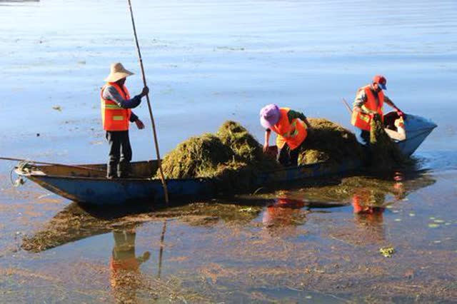 打好“绿色”牌，美丽大理要更美 秦蒙琳摄10