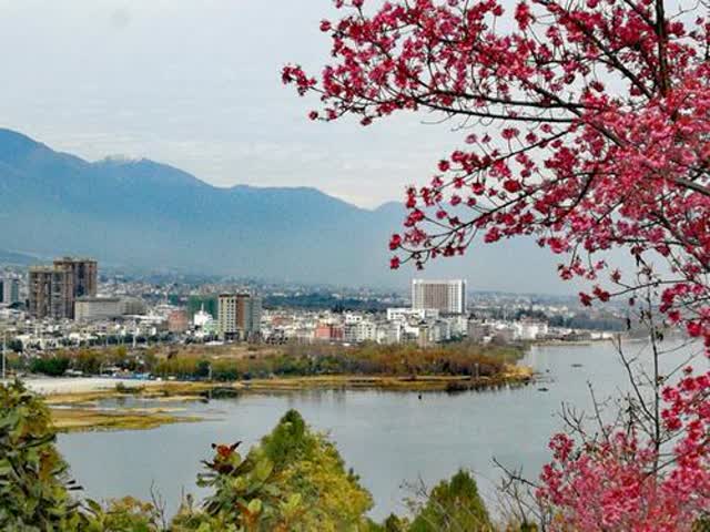 打好“绿色”牌，美丽大理要更美 秦蒙琳摄5