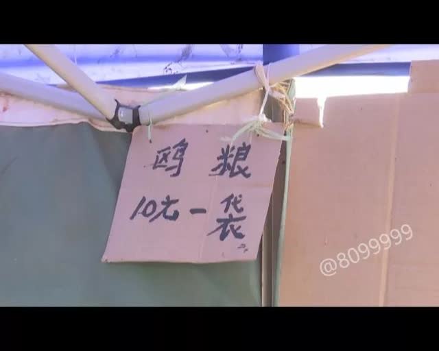 老板留下鸥粮供游客投喂2