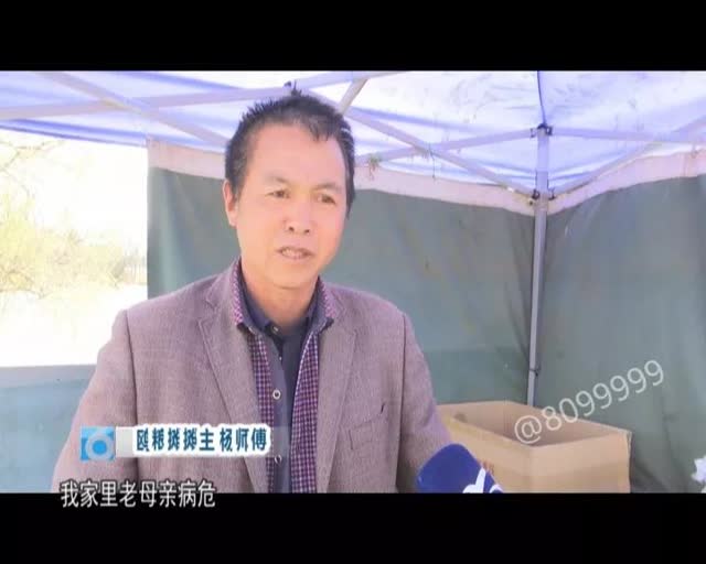 老板留下鸥粮供游客投喂3