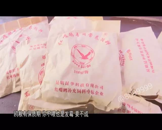 老板留下鸥粮供游客投喂4