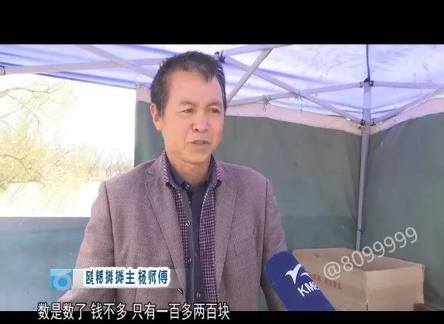 老板留下鸥粮供游客投喂10