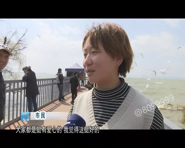 老板留下鸥粮供游客投喂14