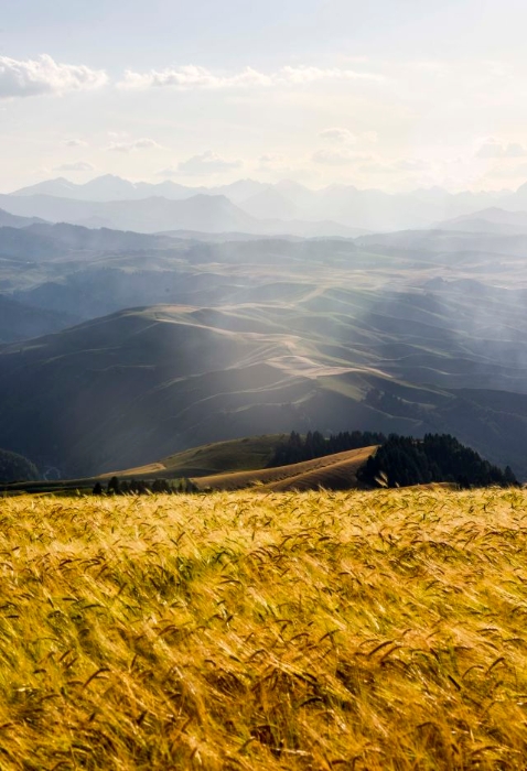 20190227164012_2113.jpg@640w_1e_1c_80Q_1x