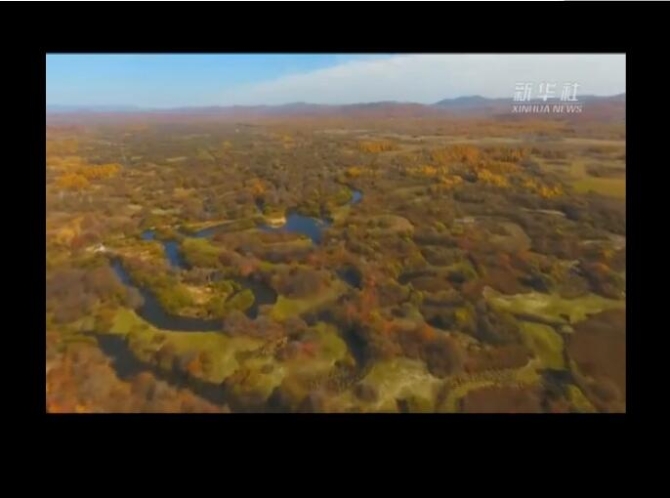 TIM截图20190302153447.jpg TIM截图20190302153447.jpg