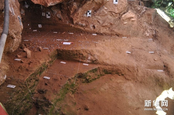 1124187721_15516565878291n