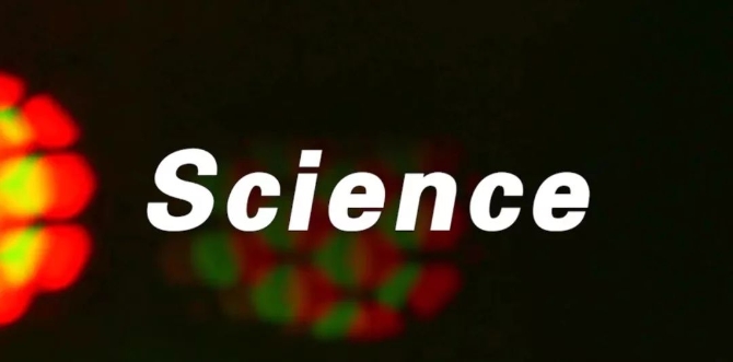 1210072043_15516000895851n