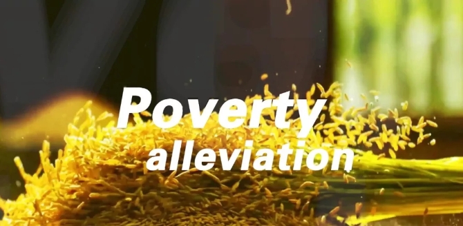 1210072043_15516009062941n