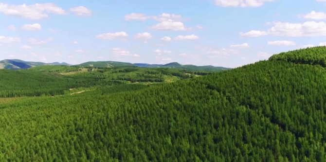 1210072043_15516009587771n