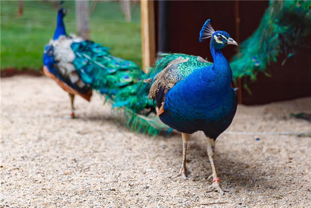 downLoad-20190304202825_副本1