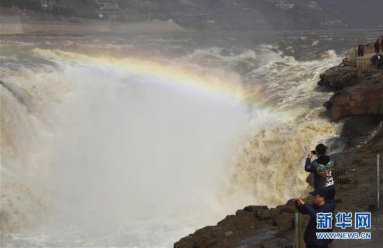 黄河壶口瀑布水量增大 #(环境)(7)黄河壶口瀑布水量增大