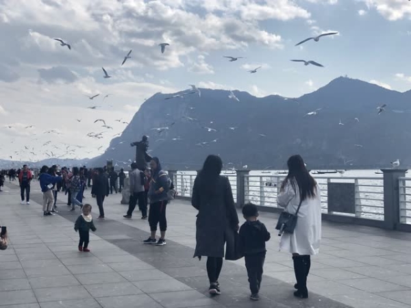 e9fed0b5-e23a-4ba4-8f30-606add562224_w640 e9fed0b5-e23a-4ba4-8f30-606add562224_w640