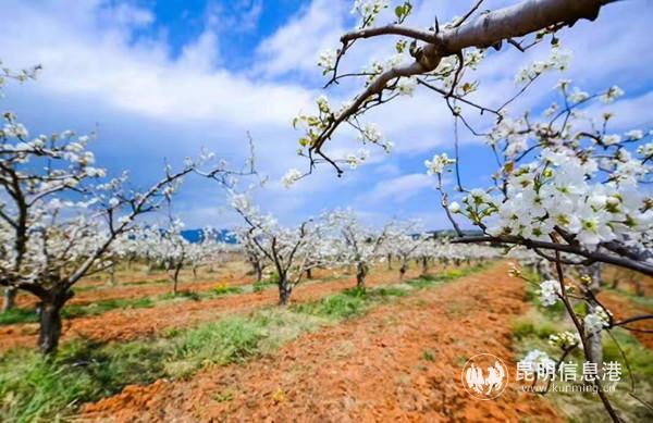 1867246366 1867246366