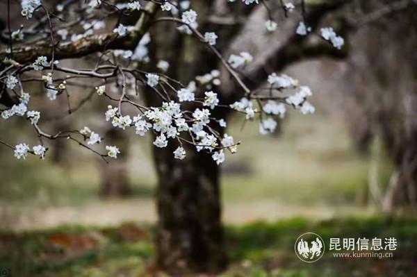 1234255261 1234255261