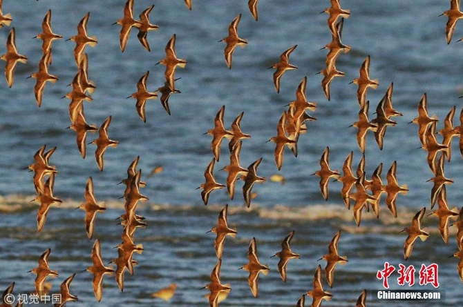 2066d8d3fda0472ab4ed189131c68983