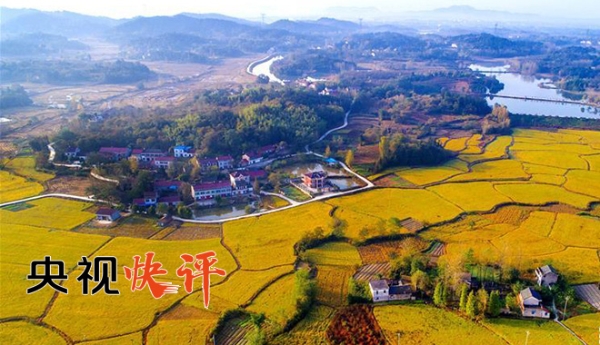 2019030900214167841 2019030900214167841