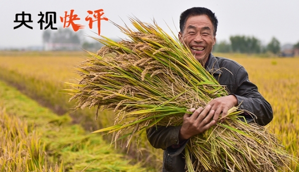 2019030900214355684 2019030900214355684