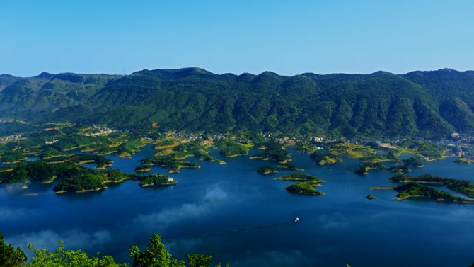 1552188399027_429_786x442